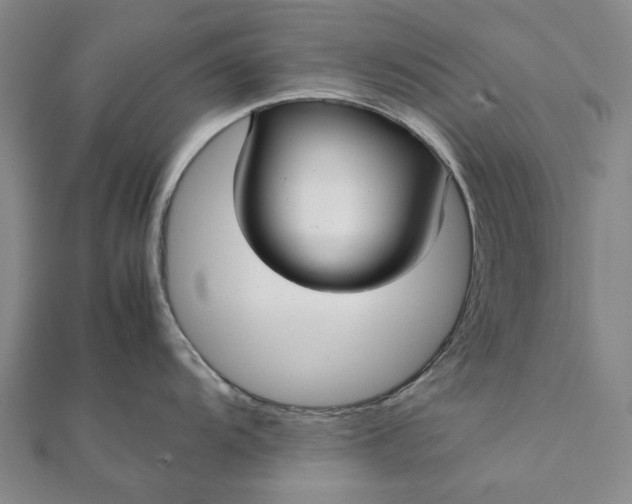 X0000112071104200908181214