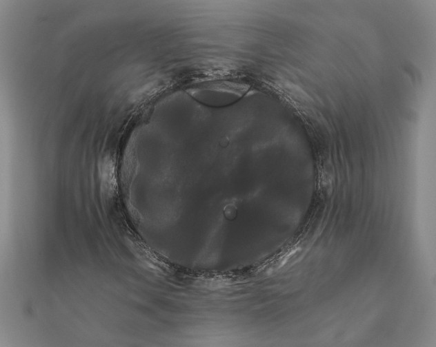 X0000112071106200908181214