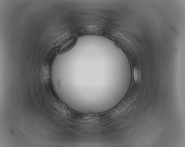 X0000112071107200908181214