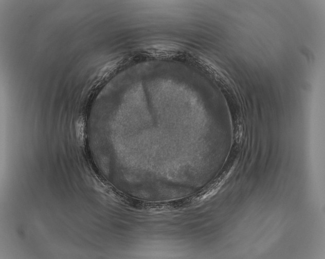 X0000112071108200908181214