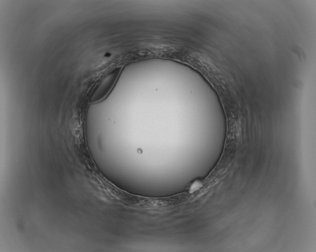 X0000112071109200908181214