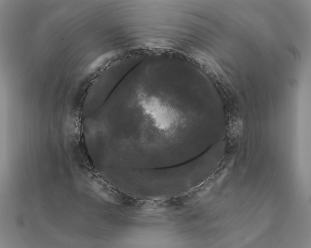 X0000112071110200908181214