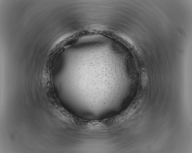 X0000112071112200908181214