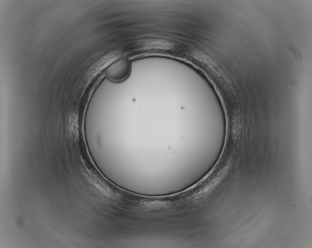 X0000112071113200908181214