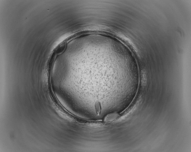 X0000112071114200908181214