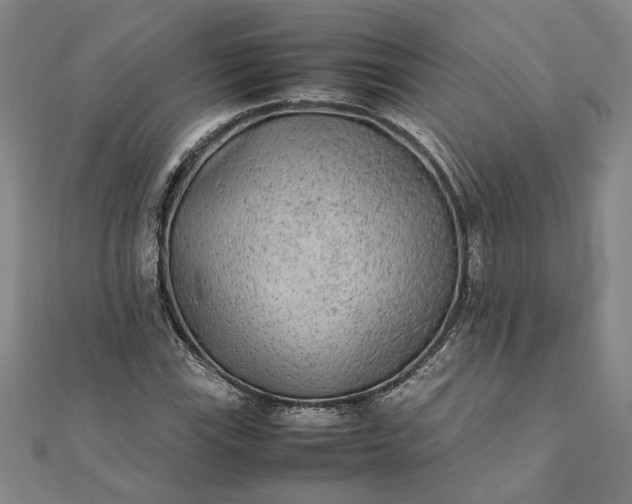 X0000112071115200908181214