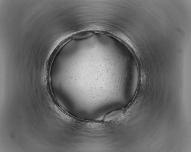 X0000112071116200908181214