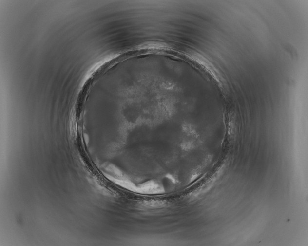 X0000112071117200908181214