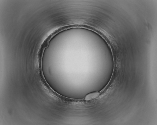 X0000112071118200908181214