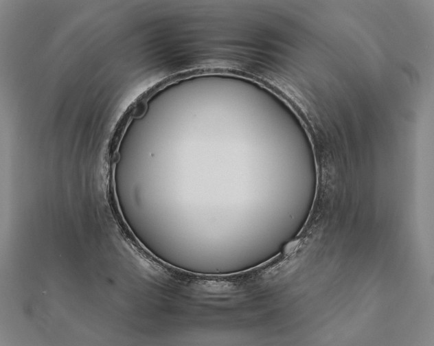 X0000112071119200908181214