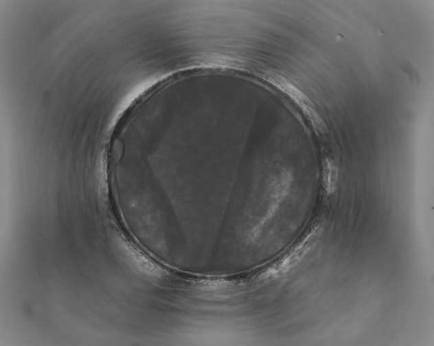 X0000112071120200908181214