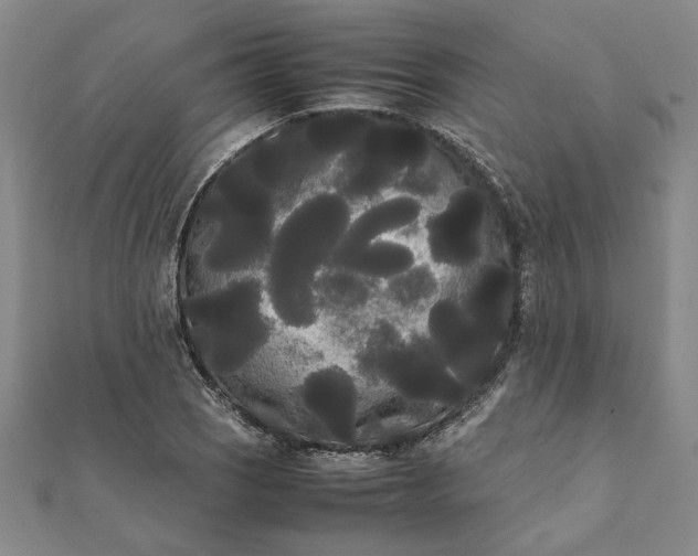 X0000112071121200908181214