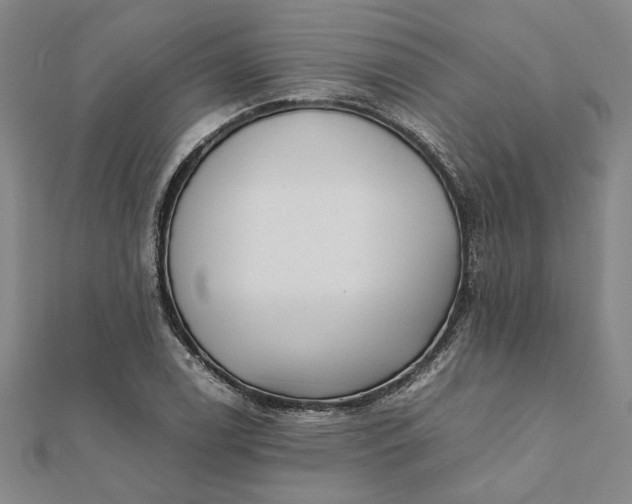 X0000112071122200908181214