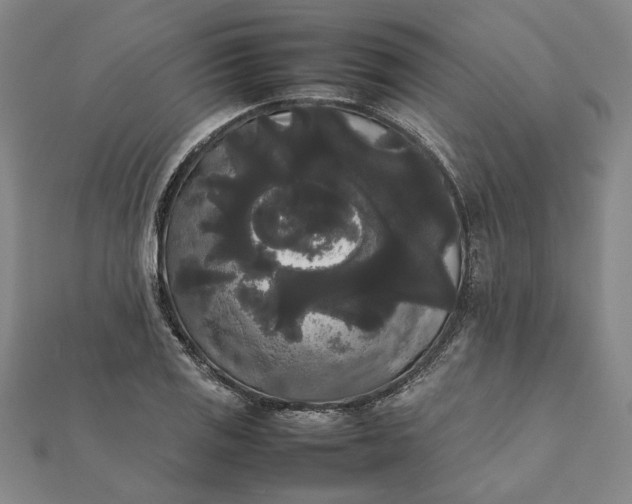 X0000112071125200908181214