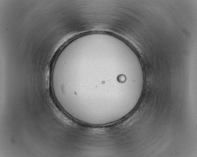 X0000112071126200908181214