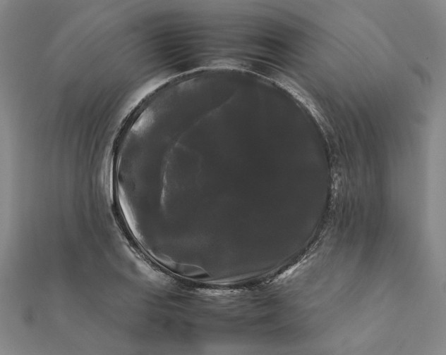 X0000112071127200908181214