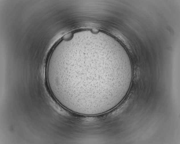 X0000112071130200908181214