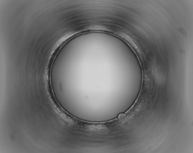 X0000112071133200908181214