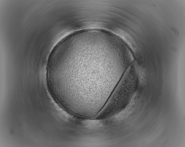 X0000112071134200908181214