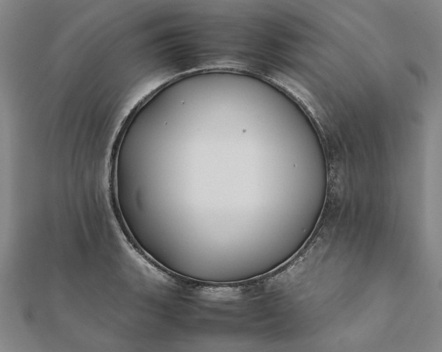 X0000112071135200908181214