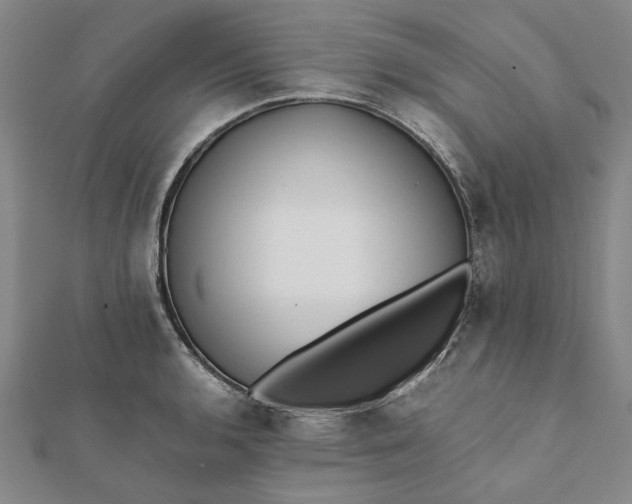 X0000112071136200908181214