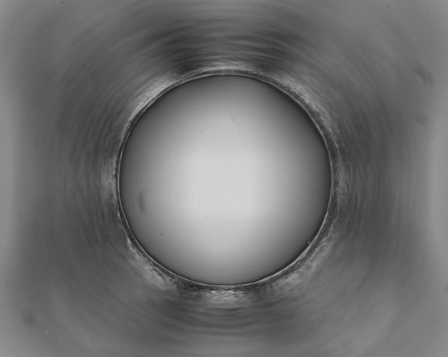 X0000112071137200908181214