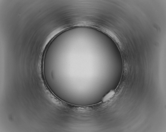 X0000112071138200908181214