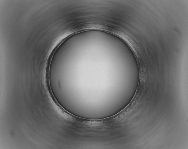 X0000112071139200908181214