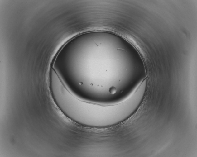 X0000112071140200908181214