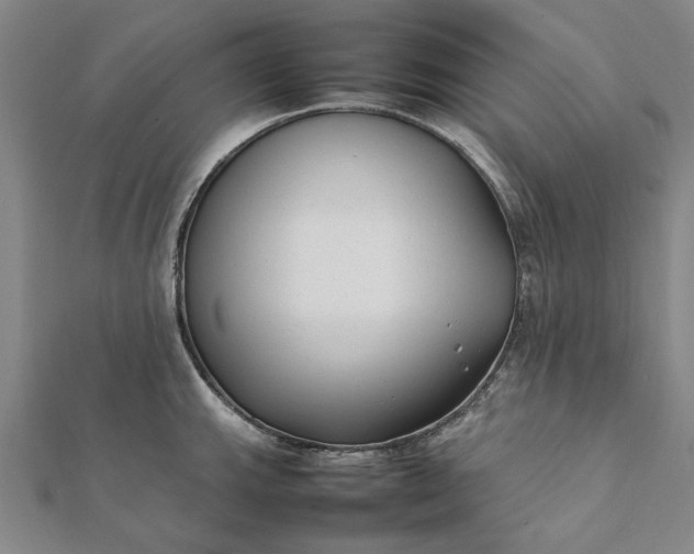 X0000112071143200908181214