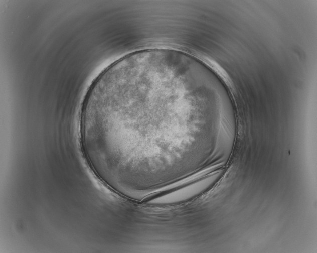 X0000112071144200908181214