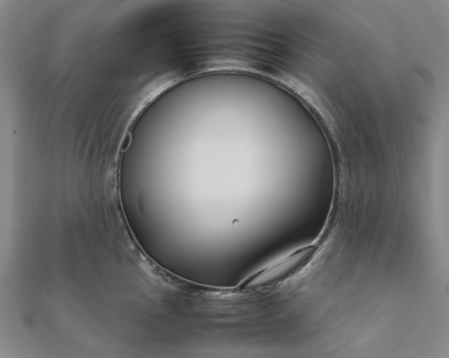 X0000112071145200908181214