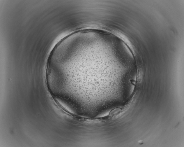 X0000112071146200908181214