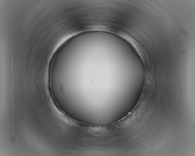 X0000112071147200908181214