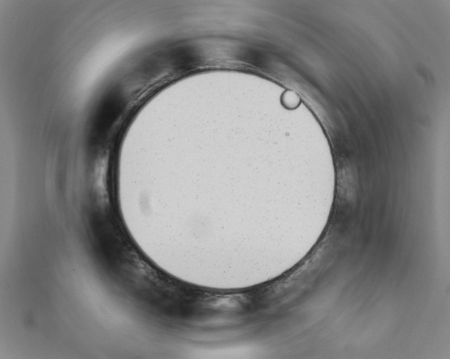 X0000112071150200908181214