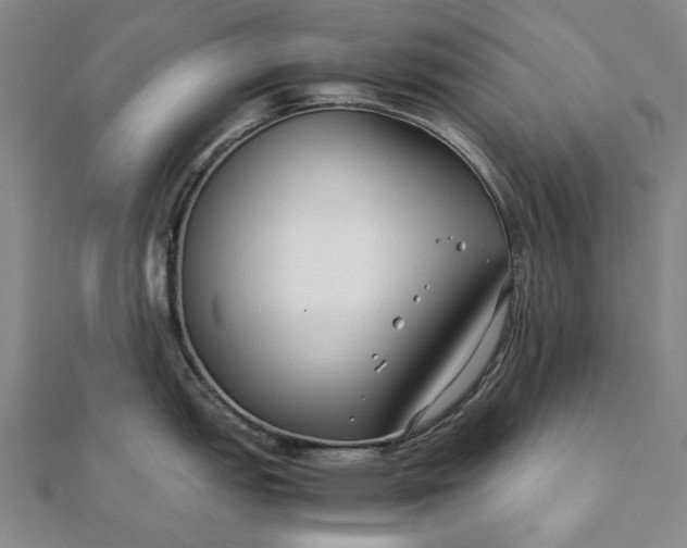 X0000112071151200908181214