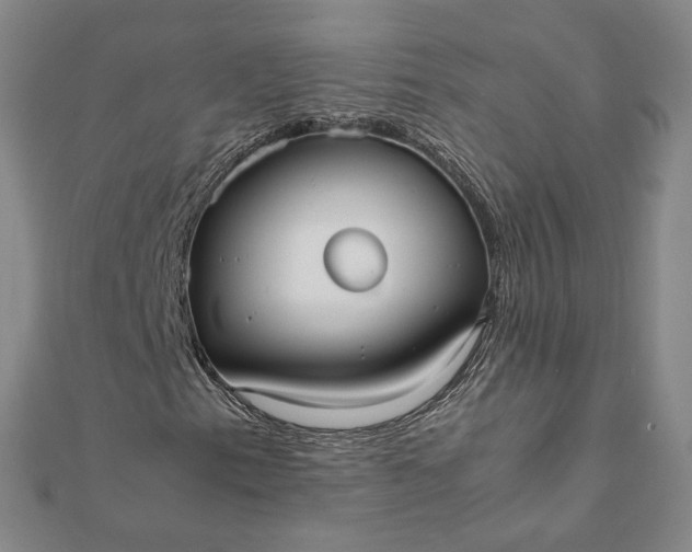 X0000112071153200908181214