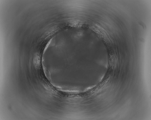 X0000112071154200908181214