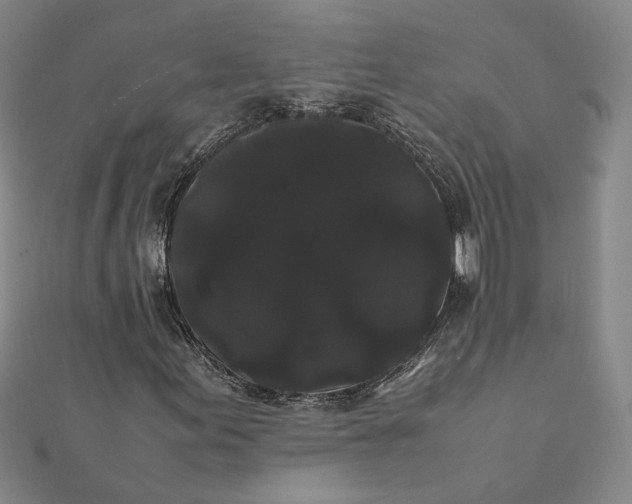 X0000112071155200908181214