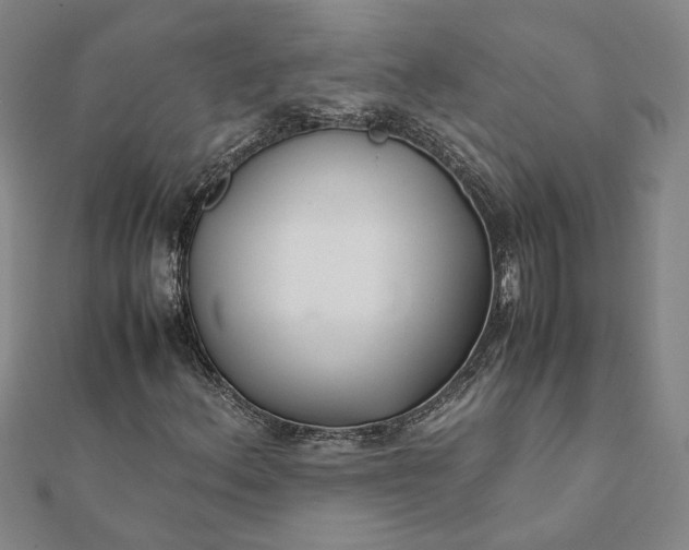 X0000112071156200908181214