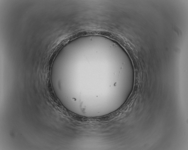 X0000112071157200908181214