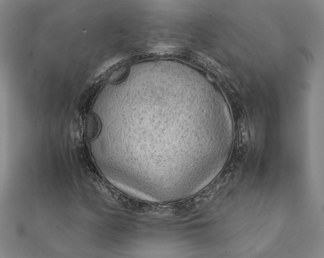 X0000112071158200908181214