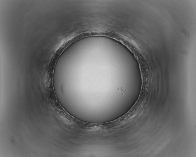 X0000112071160200908181214