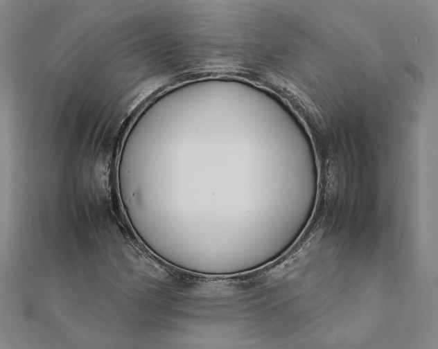 X0000112071162200908181214