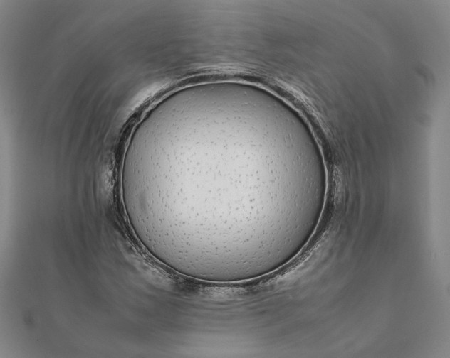 X0000112071163200908181214