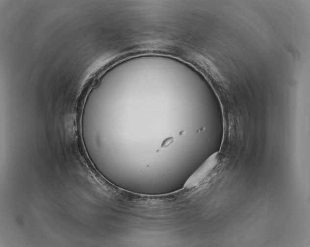 X0000112071164200908181214