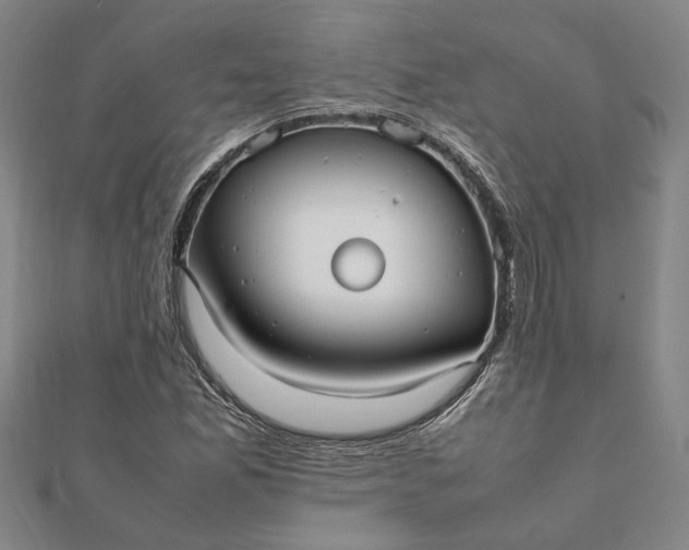 X0000112071165200908181213