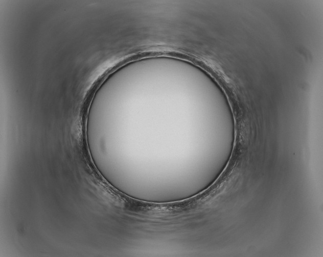 X0000112071167200908181213