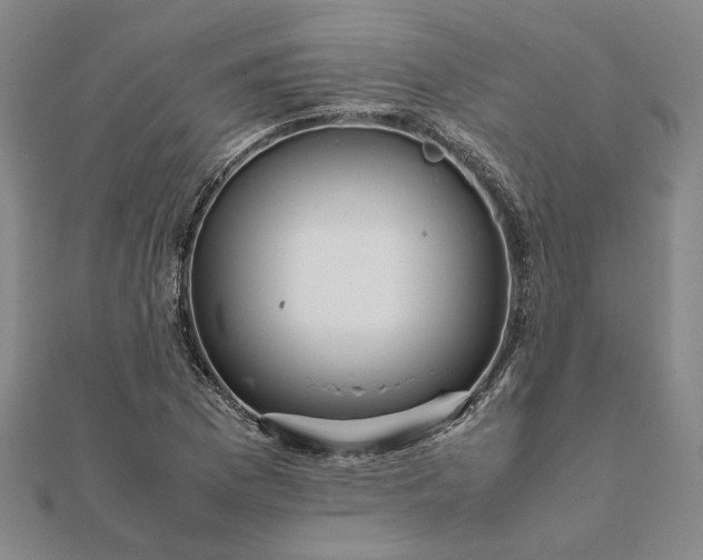 X0000112071169200908181213