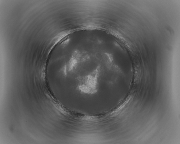 X0000112071170200908181213